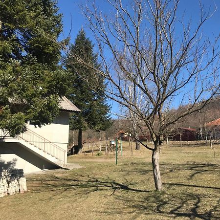 Apartman “Reka Gradac” Valjevo Exterior photo